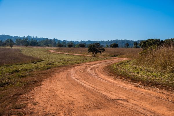 Dirt Driveway Repair in Gallatin