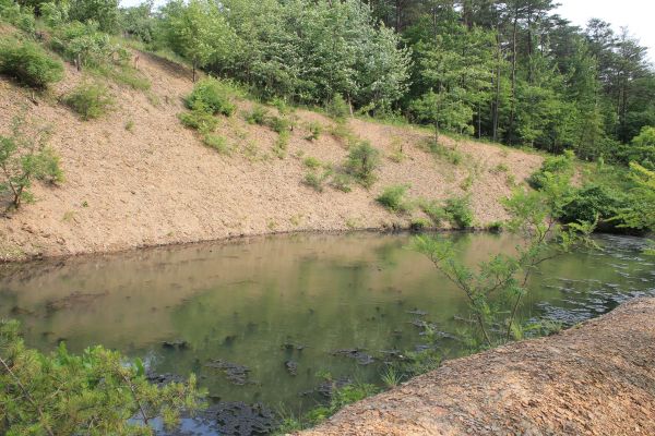 Cost of Pond Erosion Repair in Gallatin